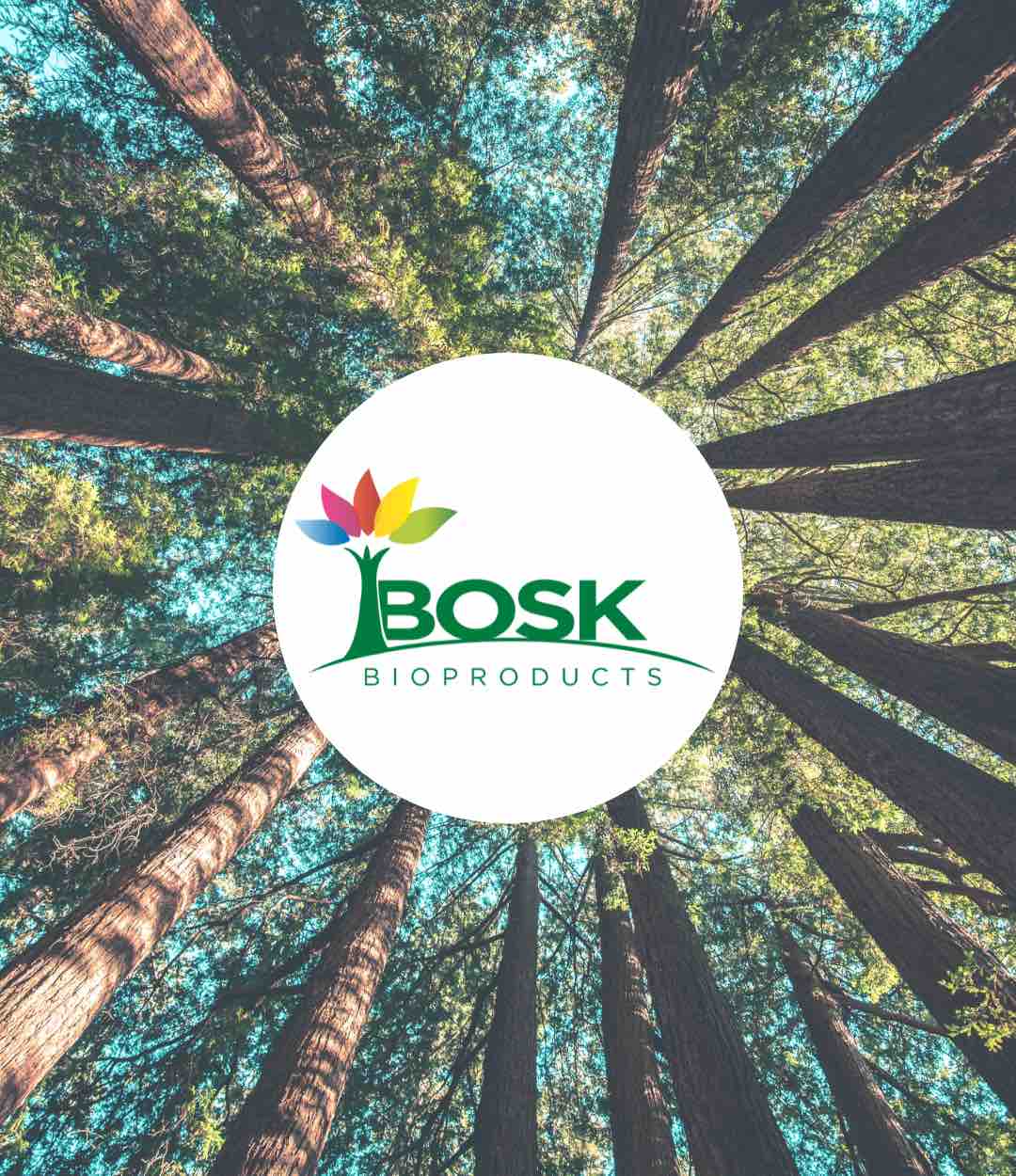Canada supports BOSK Bioproducts to produce compostable bioplastics
