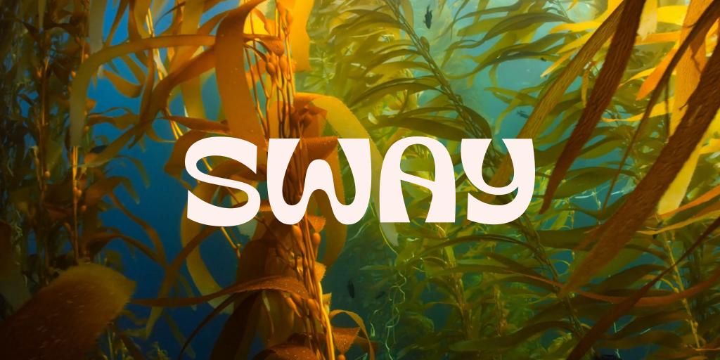 Sway Raises $5 Million for Seaweed-Based Packaging Innovation
