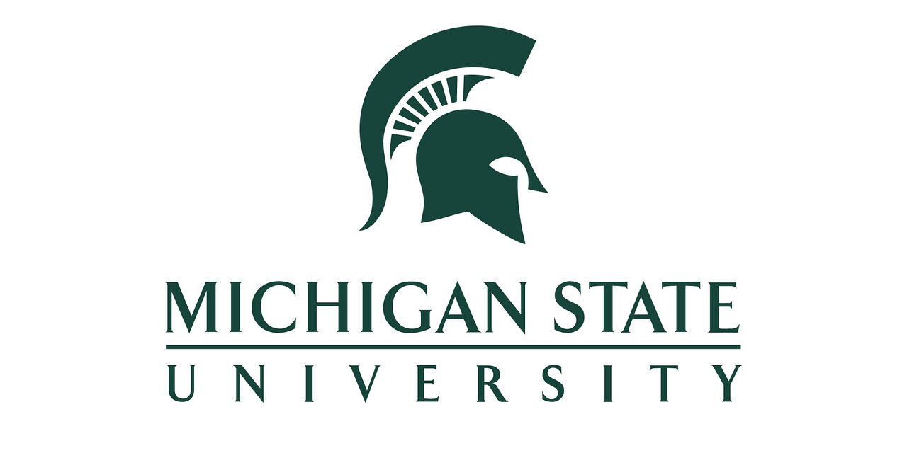 michigan state university