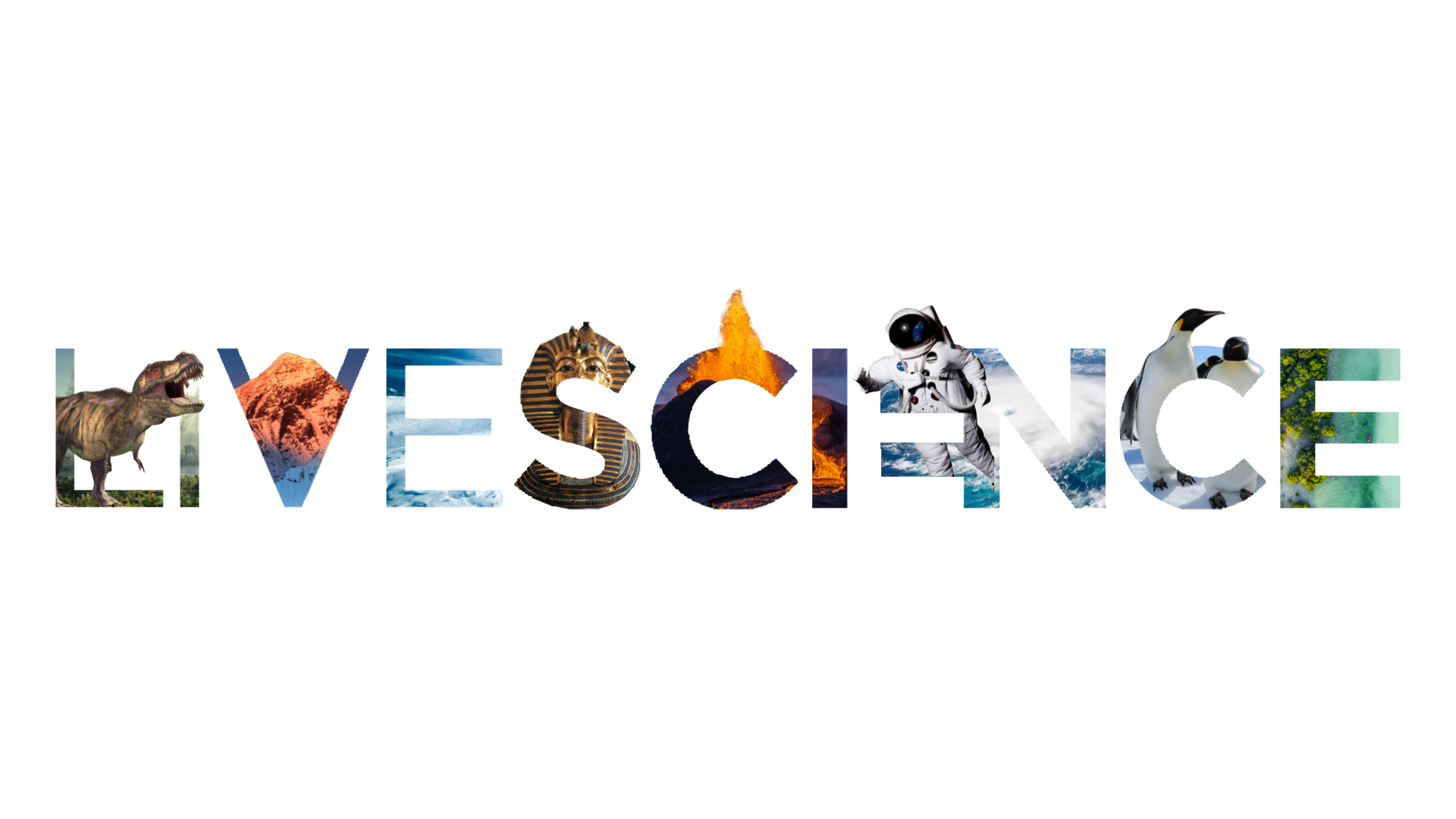 LiveScience article on bioplastics