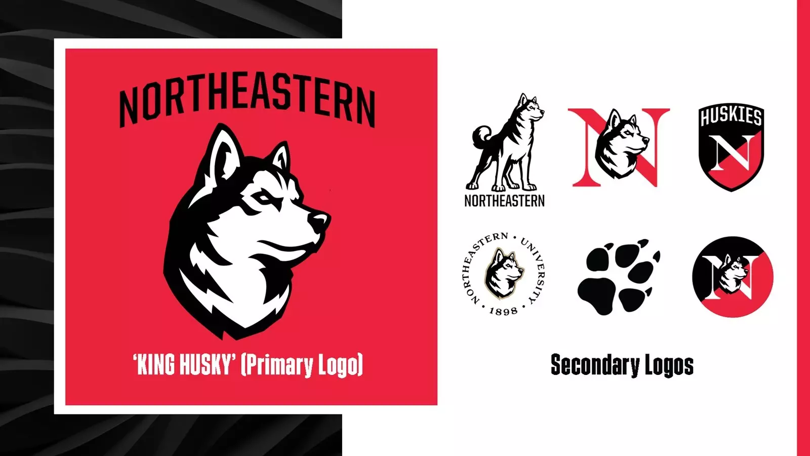 Northeastern researchers create plastic that dissolves in water that promises to combat global pollution crisis