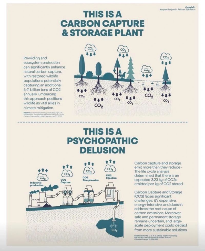 Infographic to resume the absurdity of carbon capture