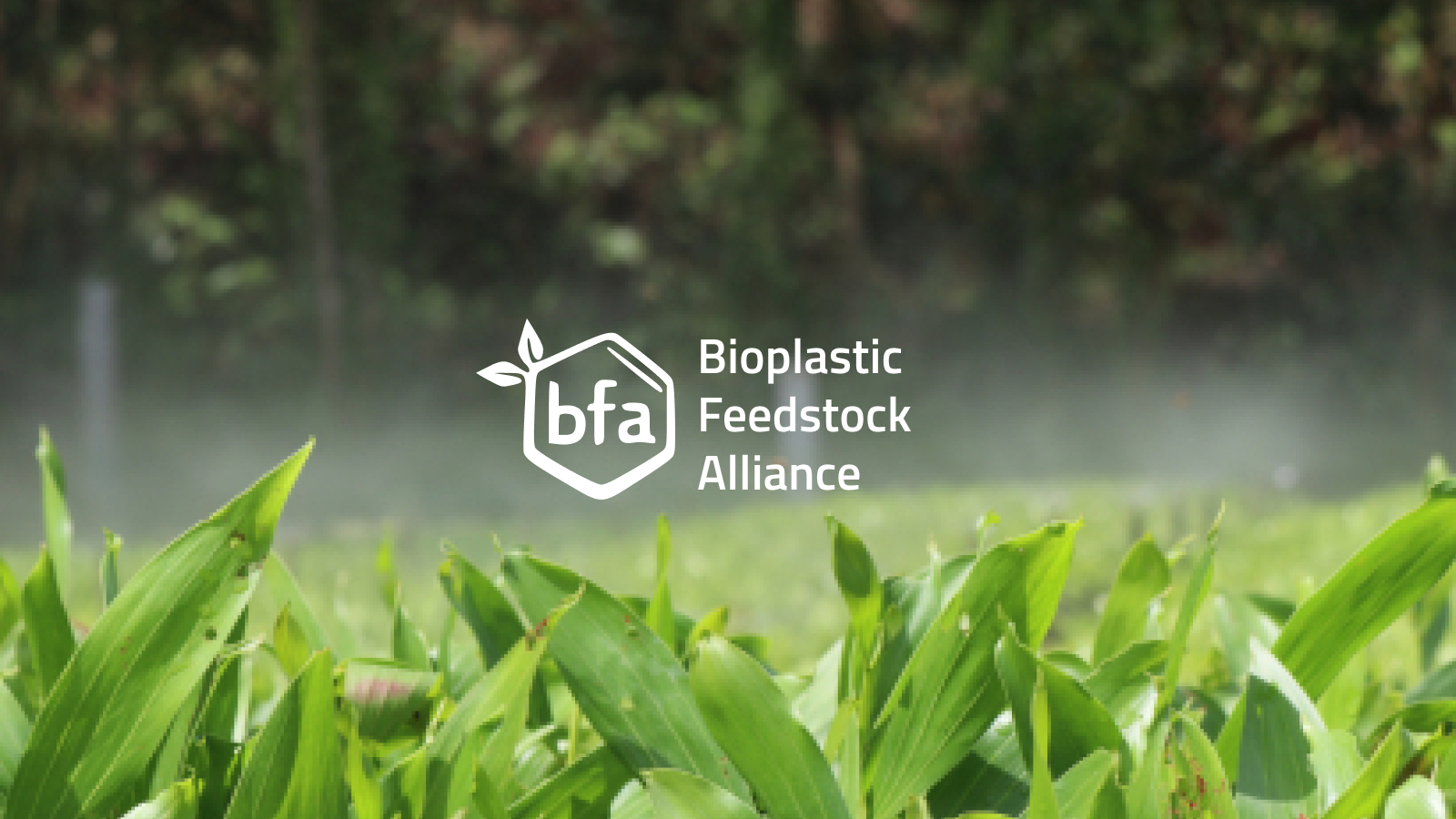 Vision Statement: Aligning Toward a Circular Bioeconomy