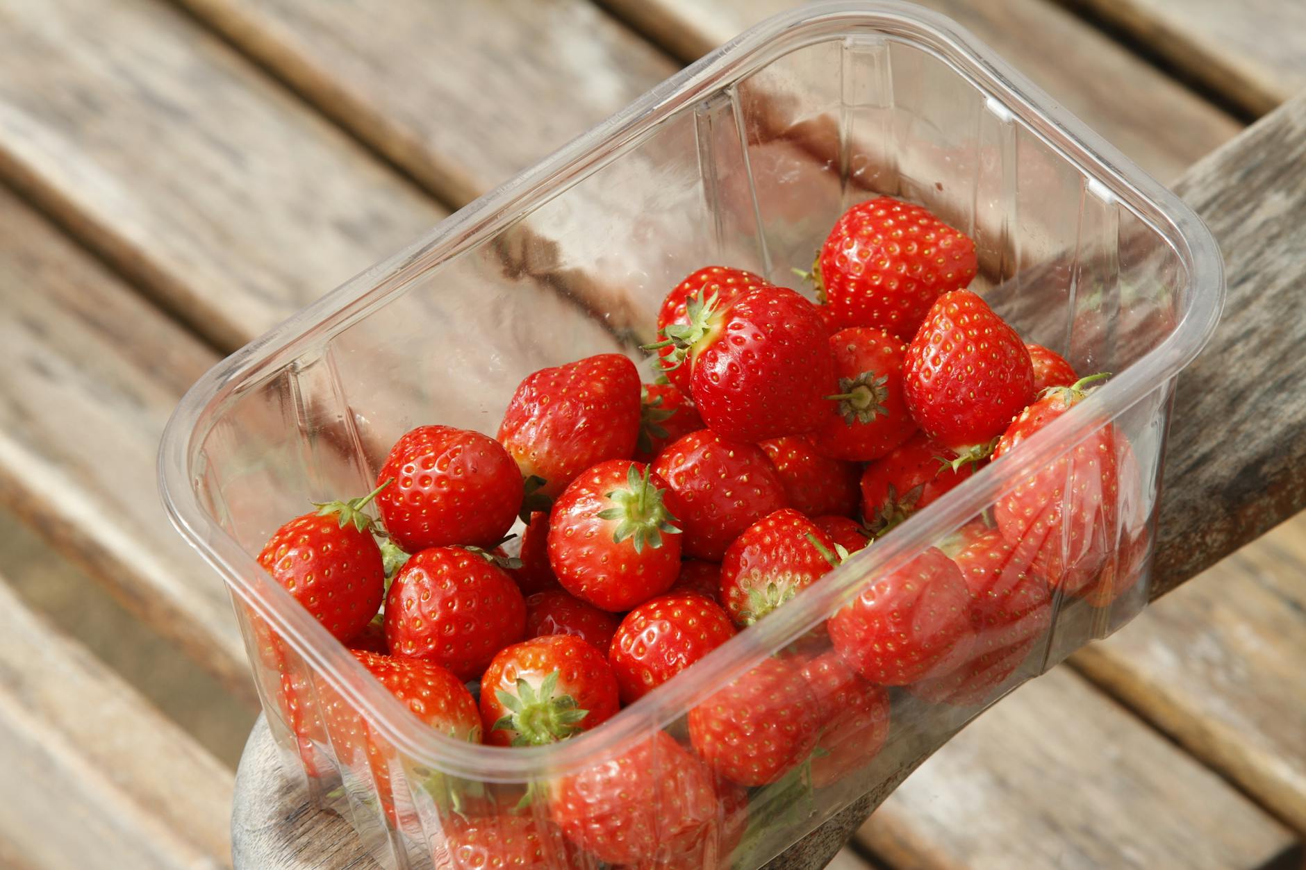 A biodegradable alternative to plastic punnets