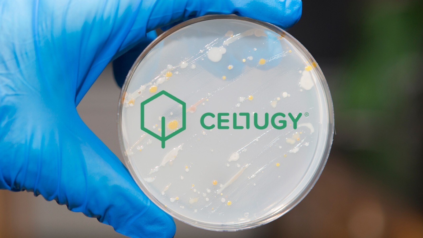 Cellugy secures €8,1M to eradicate microplastics in personal care products with biobased alternative (FREE)
