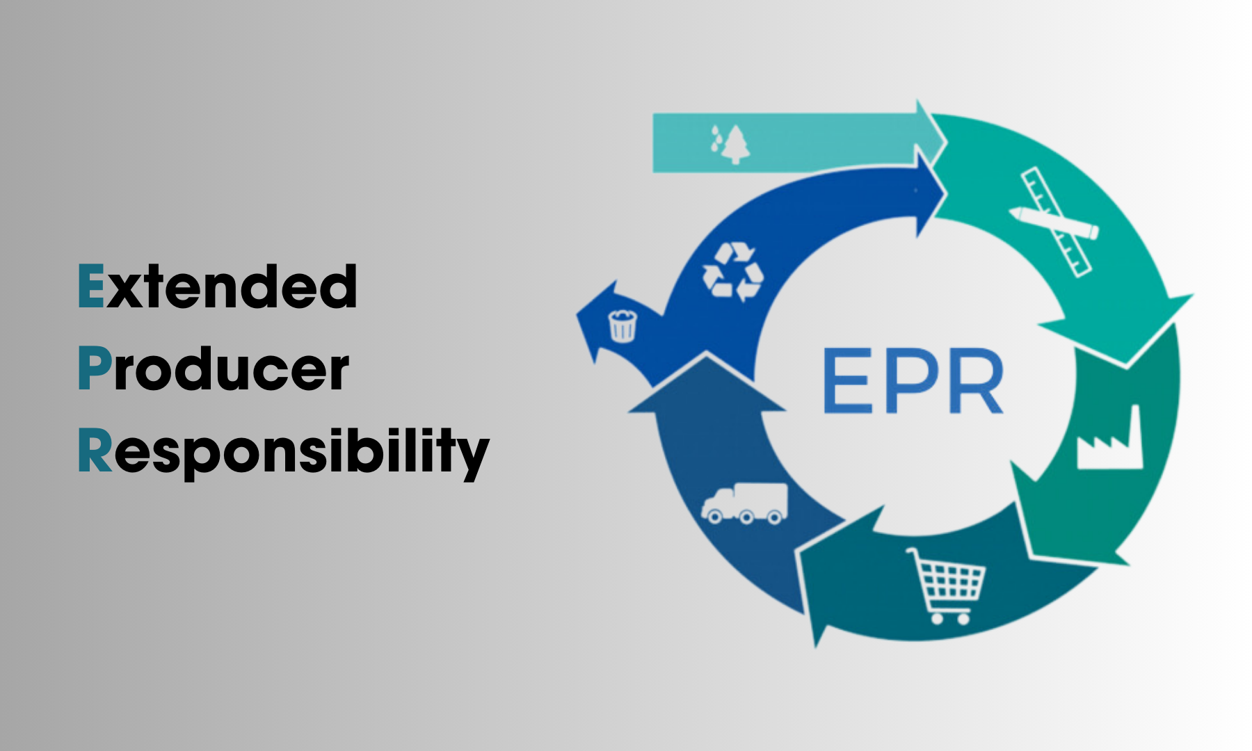 Alliance for Fibre-Based Packaging warns EPR fees could increase plastic use