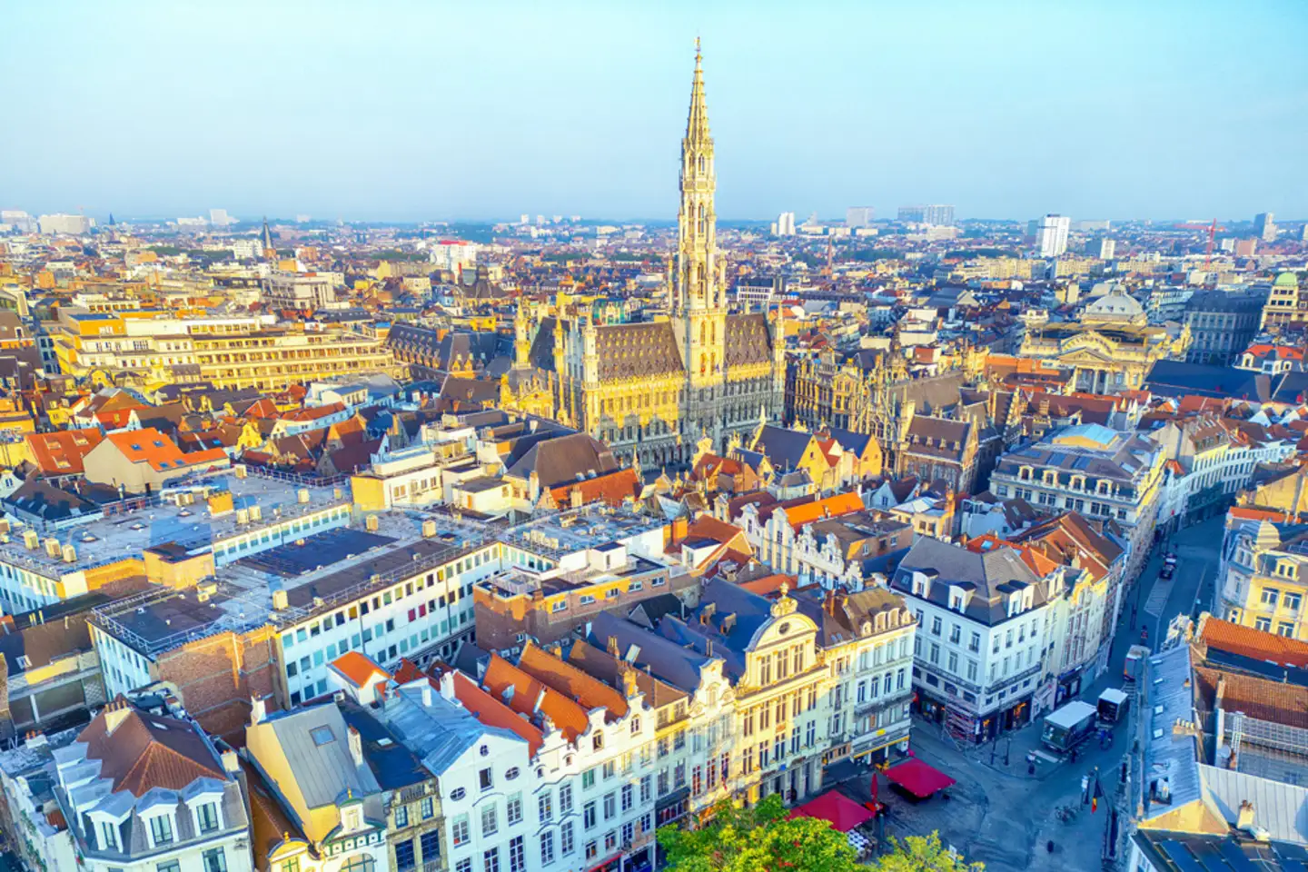 The Poshest Belgian Avenue is a landfill