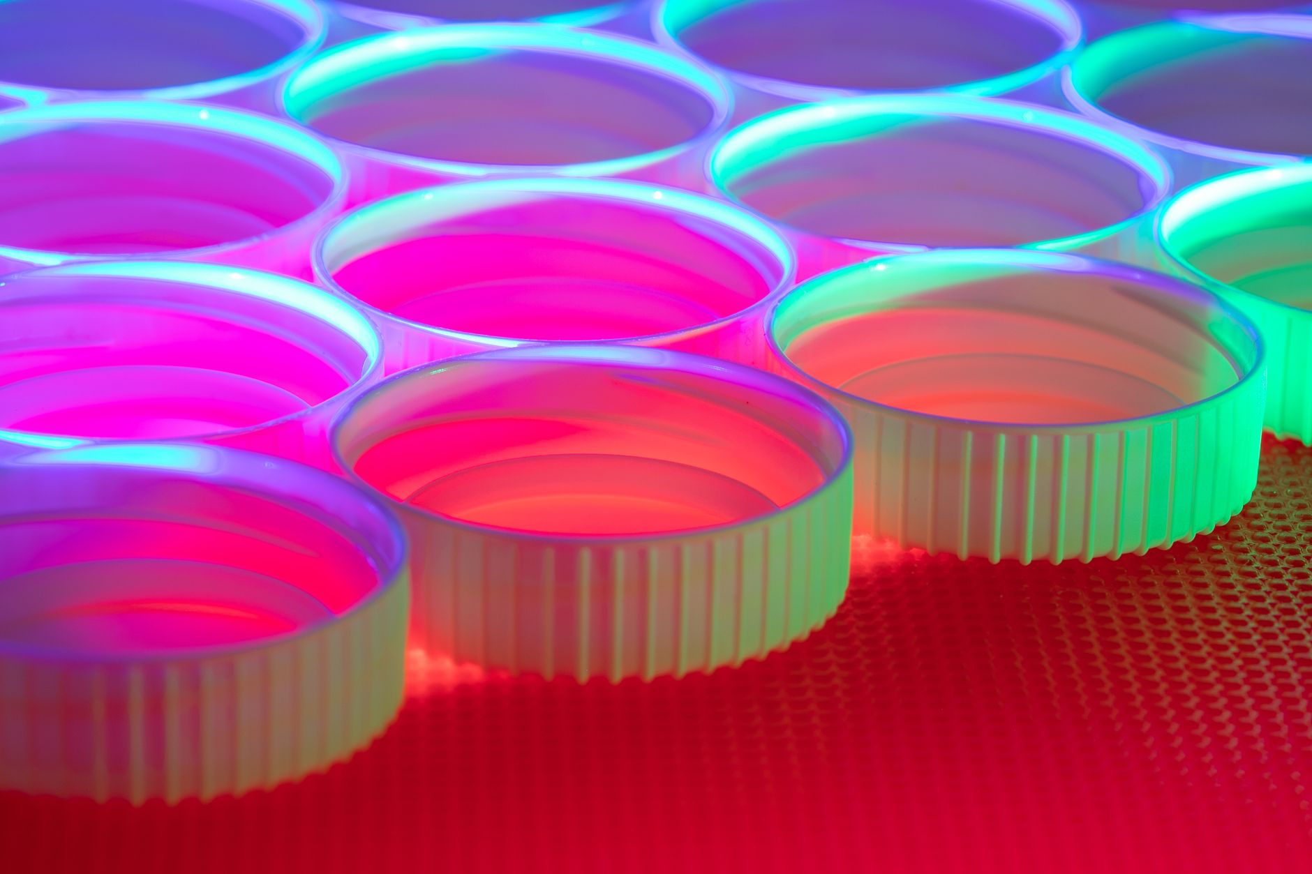 polypropylene